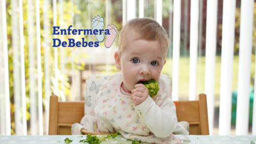 Alimentación Complementaria (6-12 meses)